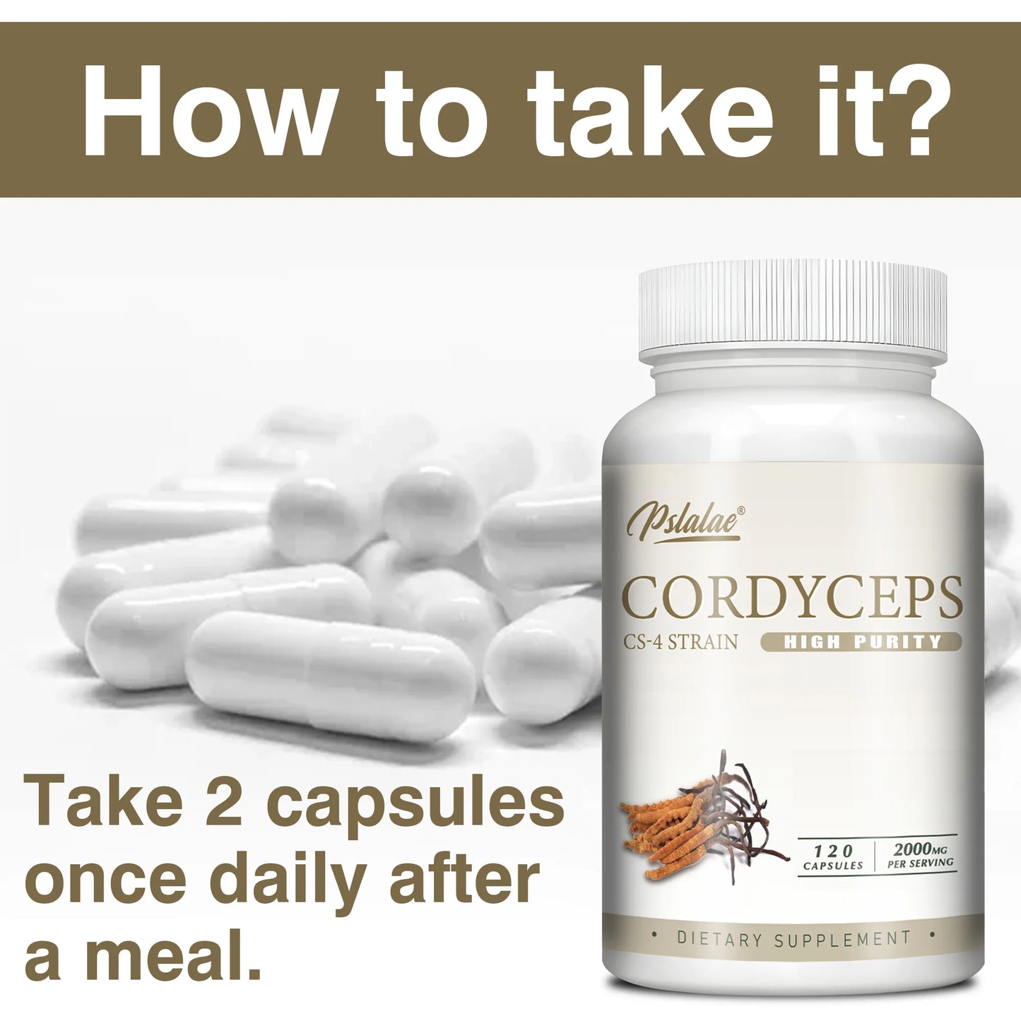 Cordyceps - Energy, Respiratory, Immune, Kidney Health Support - 120 Capsules
