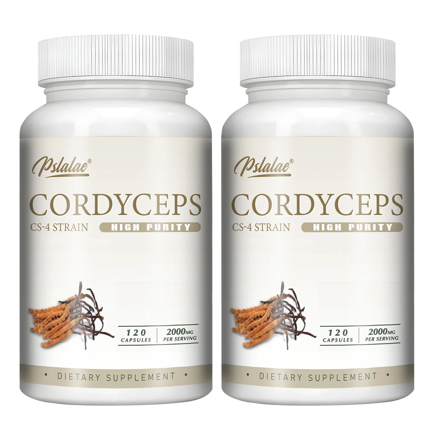 Cordyceps - Energy, Respiratory, Immune, Kidney Health Support - 120 Capsules