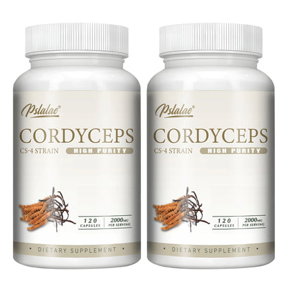 Cordyceps - Energy, Respiratory, Immune, Kidney Health Support - 120 Capsules