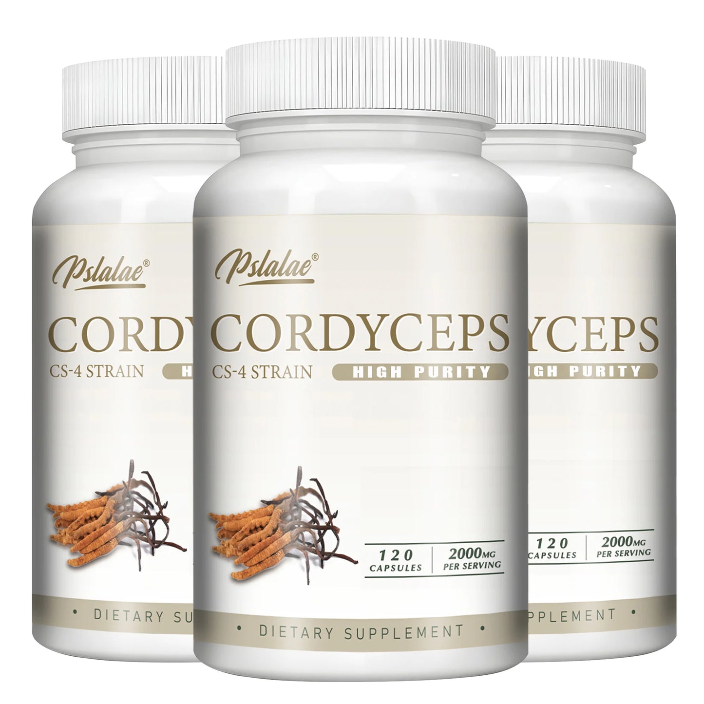 Cordyceps - Energy, Respiratory, Immune, Kidney Health Support - 120 Capsules