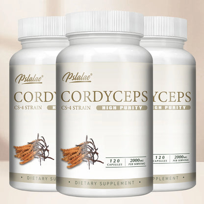 Cordyceps - Energy, Respiratory, Immune, Kidney Health Support - 120 Capsules