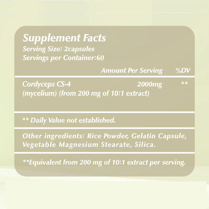 Cordyceps - Energy, Respiratory, Immune, Kidney Health Support - 120 Capsules